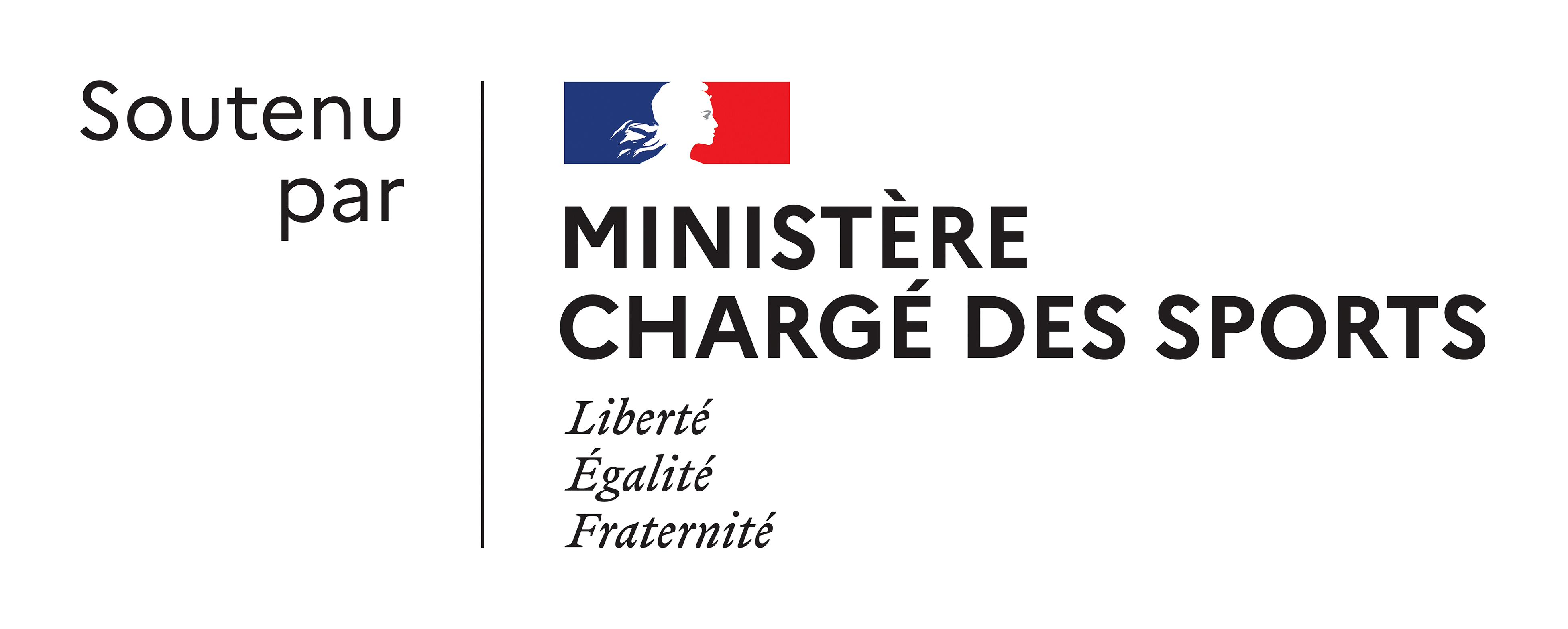Logo Ministère des Sports 2020 réduit